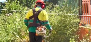 Arganda avanza en el desbroce de casi 188.000 m² de zonas verdes para prevenir incendios