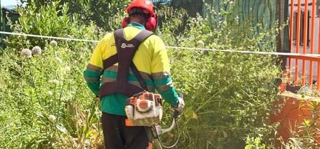Arganda avanza en el desbroce de casi 188.000 m² de zonas verdes para prevenir incendios