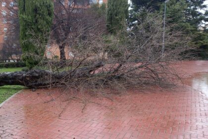 Coslada cierra parques y refuerza la seguridad ante alerta amarilla por viento de hasta 80 km/h