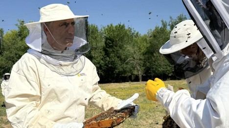 Apicultores de la región contarán con un nuevo espacio en Alcalá para instalar sus colmenas y potenciar su actividad profesional