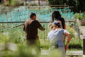 Las Rozas lanza un innovador programa para prescribir actividades en la naturaleza y mejorar la salud mental