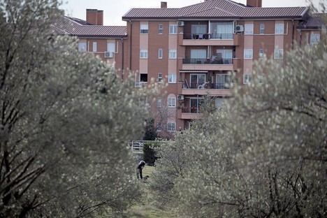 Rivas participa en el City Nature Challenge 2025 con un biomaratón de biodiversidad